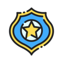 shield,security,protection,professions and jobs,star,badge,law,sheriff,sheriff badge